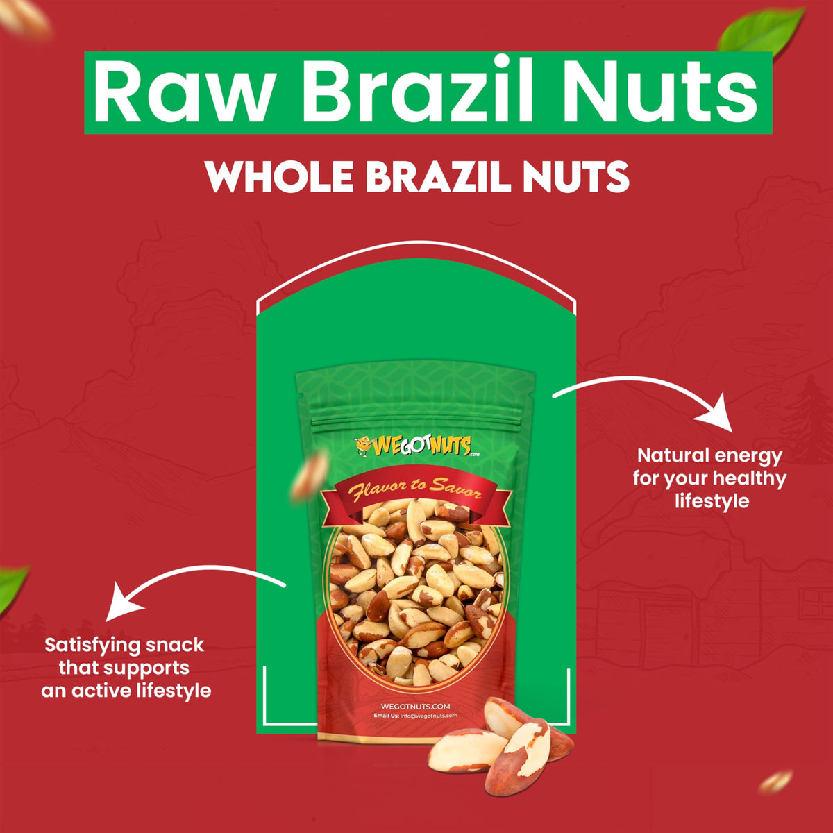 We Got Nuts Brazil Nuts creamy texture closeup hints melt-in-mouth richness.