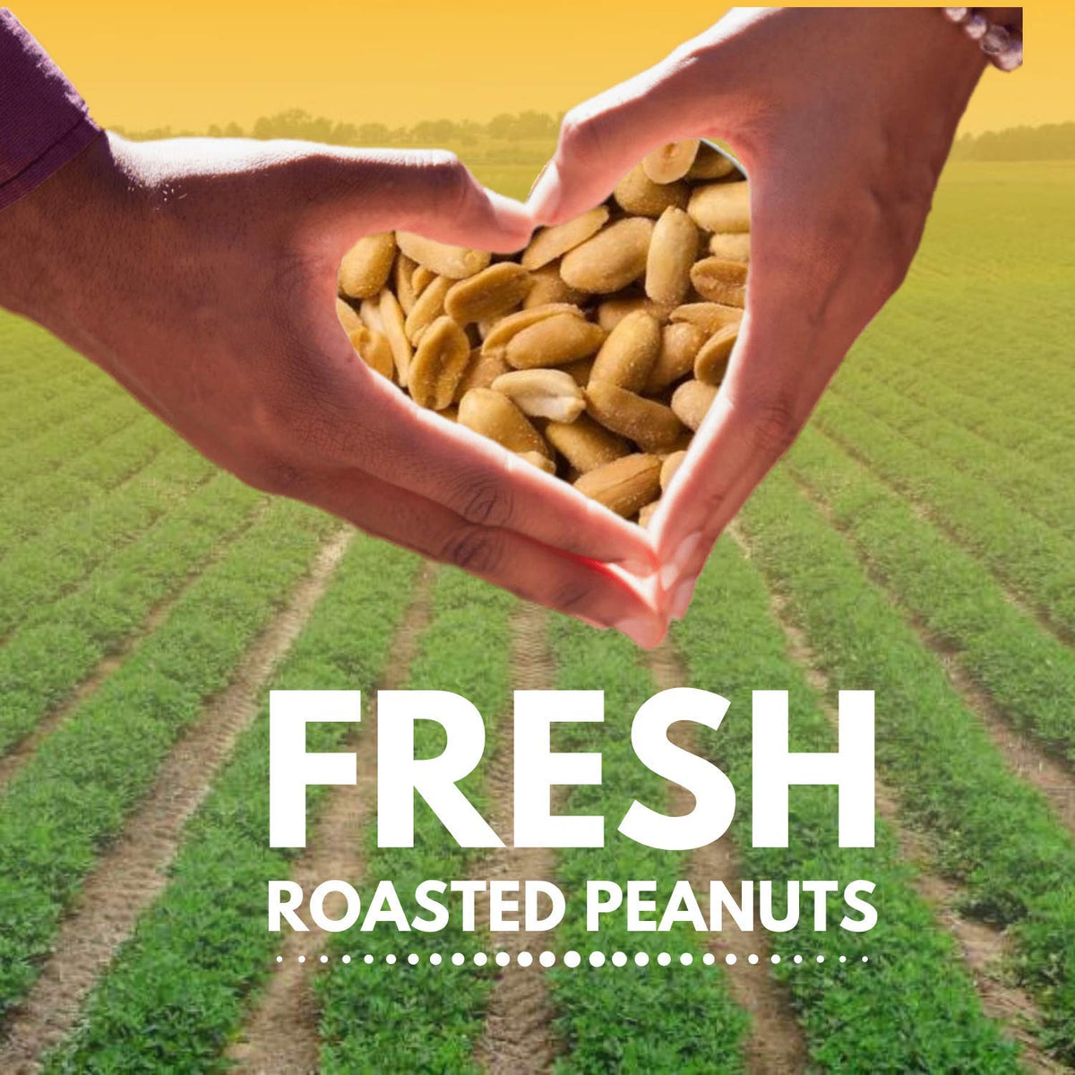We Got Nuts peanuts in a bowl ready for snacking or recipe prep.