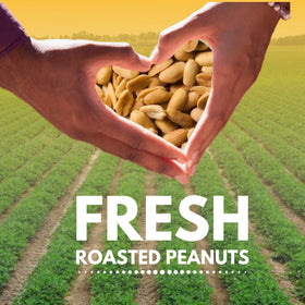 We Got Nuts peanuts in a bowl ready for snacking or recipe prep.