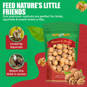 We Got Nuts unsalted walnuts ready to snack or top dishes.