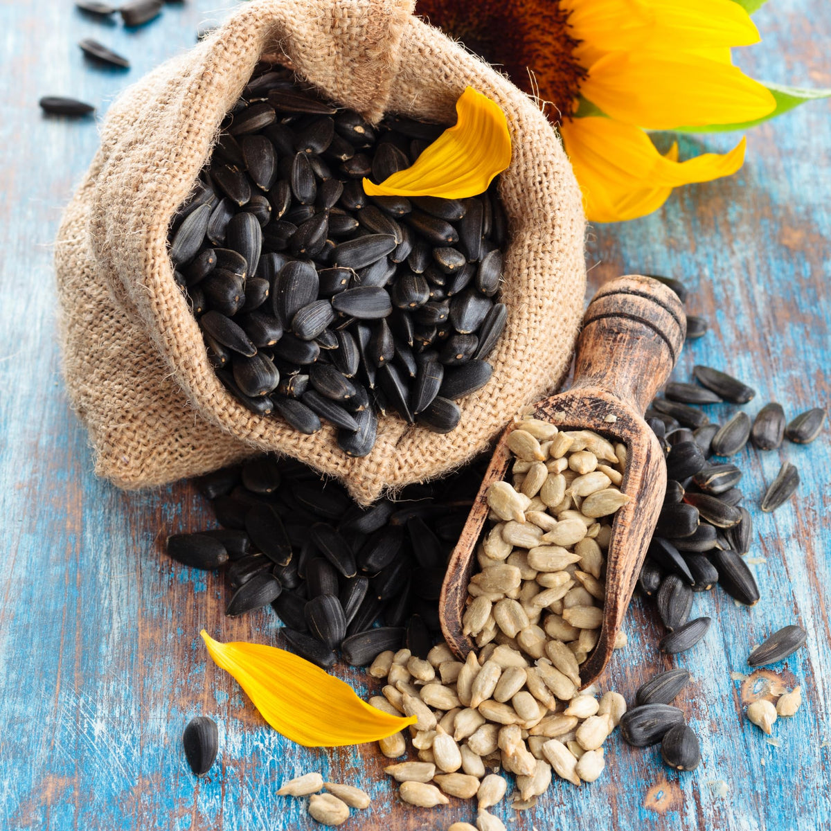 We Got Nuts kosher-certified sunflower seeds labeled for dietary standards