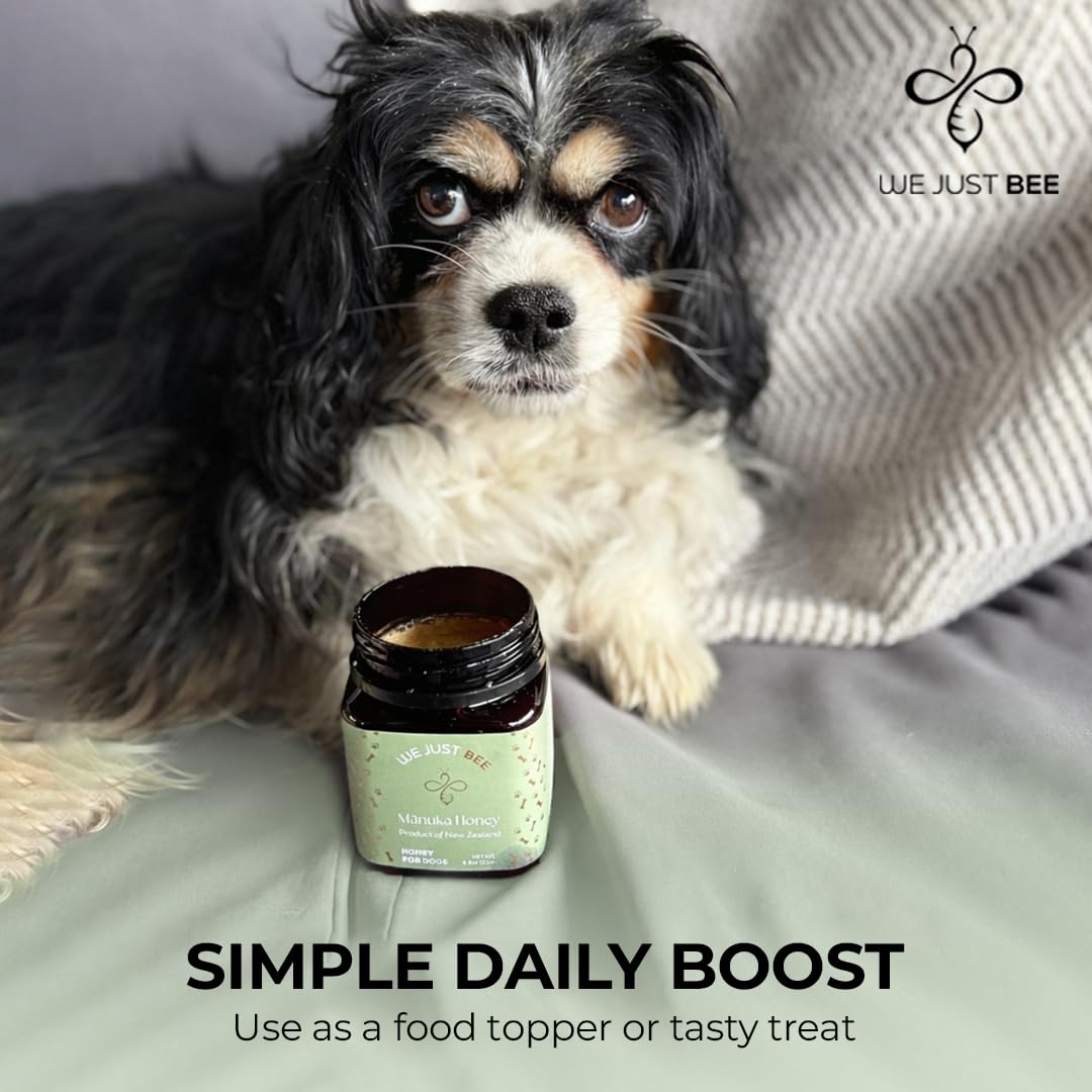 We Just Bee Manuka Honey for Dogs bottle pouring over kibble.