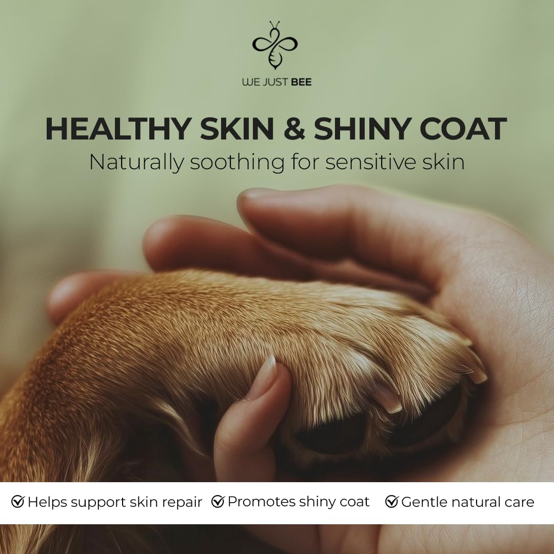 We Just Bee Manuka Honey for Dogs serving spoon in dog bowl.