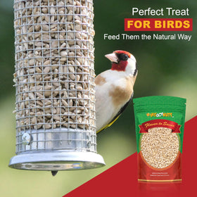 We Got Nuts nutrition-friendly seeds, a convenient plant-based protein and fat source.
