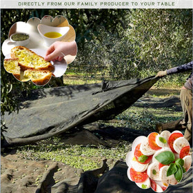 WellEatable Olive oil on salad shows versatile finishing and flavor enhancement.