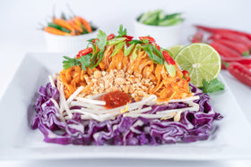 Well Lean Konjac Pasta sauce pairing suggests versatile meal ideas with light sauces.