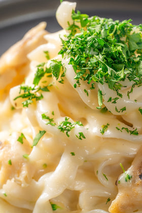 Well Lean Shirataki Pasta healthy-diet mockup conveys zero net carb appeal.