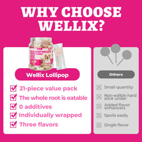 Wellix freeze-dried treats showing three flavors for feline and canine palates.