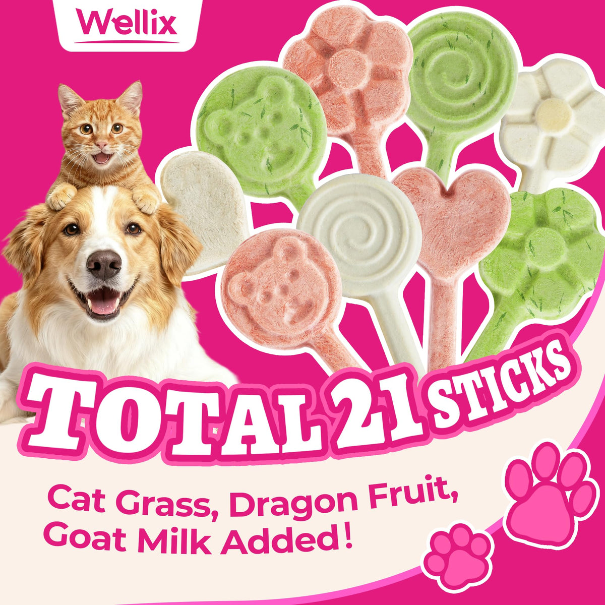 Wellix freeze-dried chicken-recipe cat treats lollipop, easy-to-hold training snack.