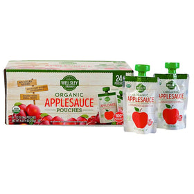 Wellsley Farms applesauce pouch in a backpack pocket during travel.