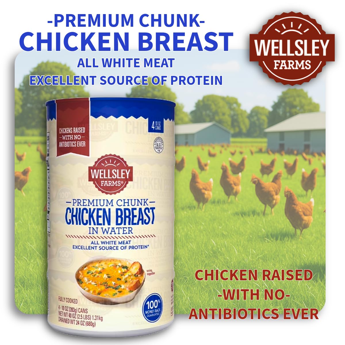 Wellsley Farms no antibiotics ever chicken, ideal for quick sandwiches.