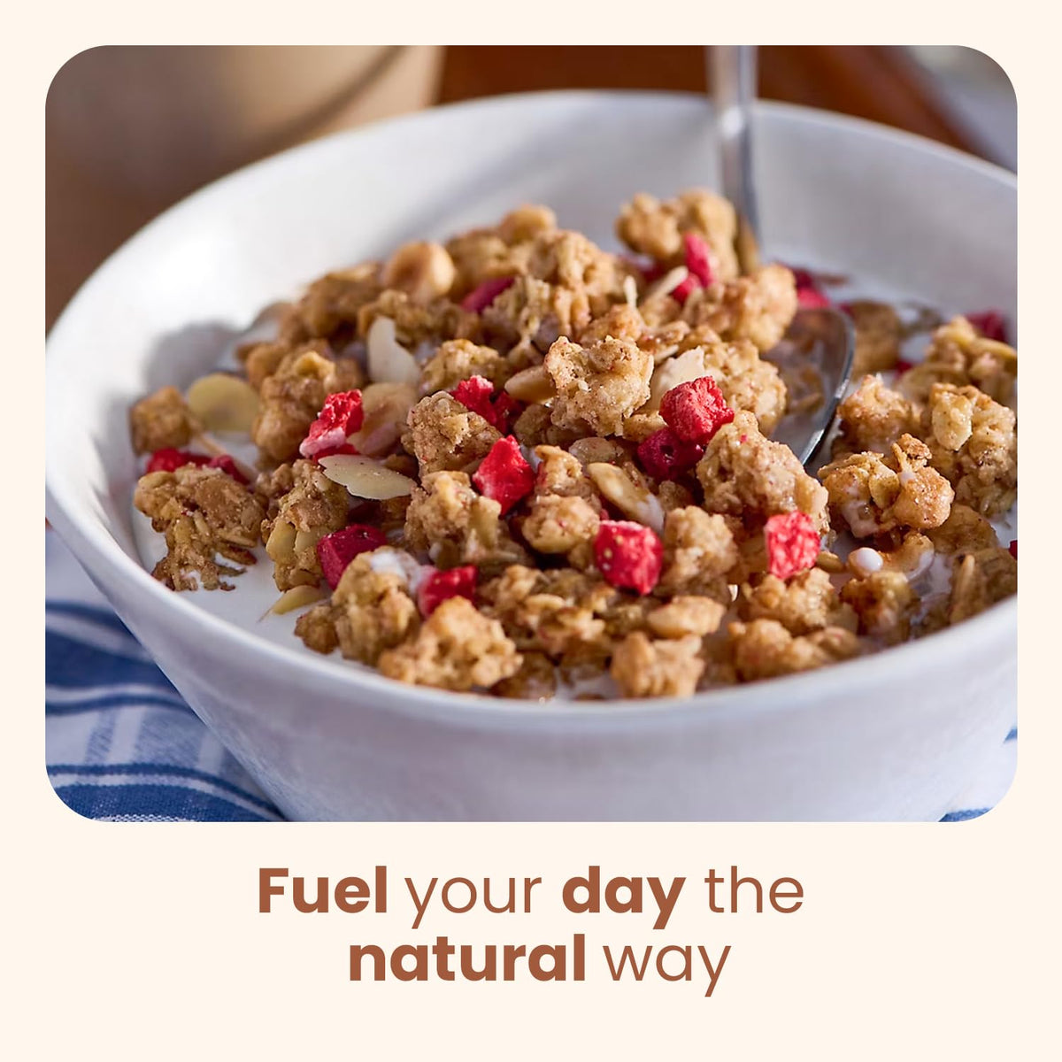 Wellsley Farms Swiss Granola trail mix snack idea with satisfying crunch.