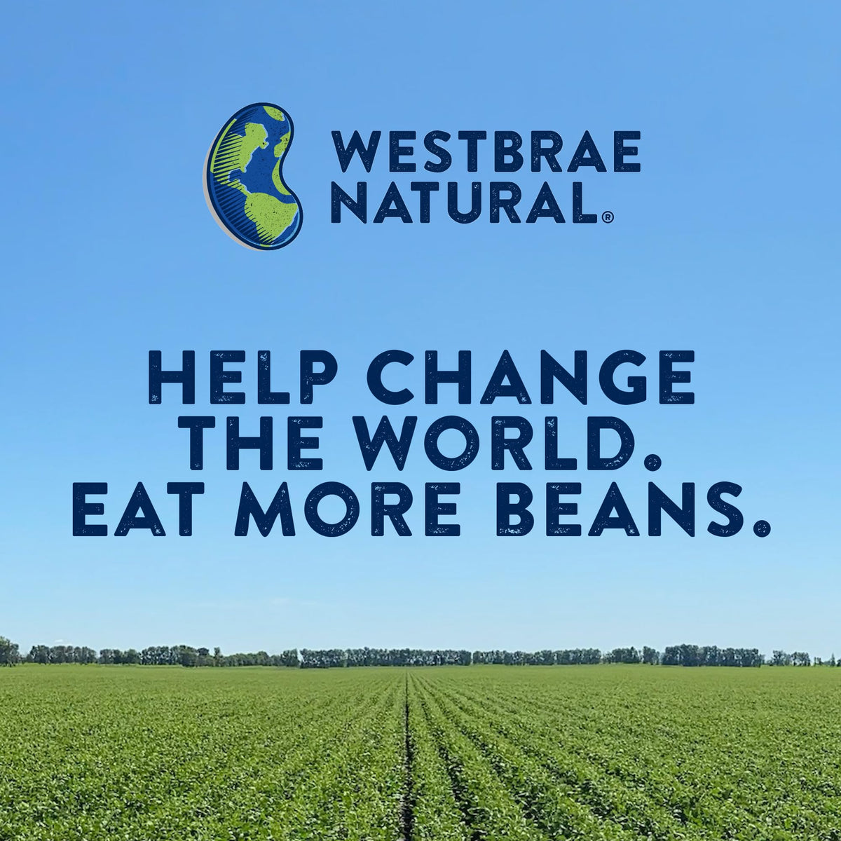 Meal prep scene with Westbrae Salad Beans paired with vegetables.