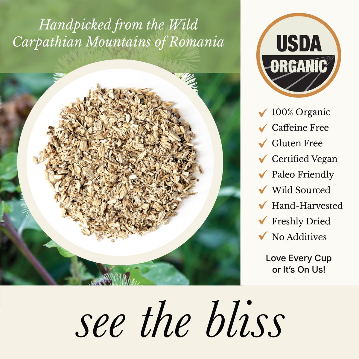 Wild Bliss Burdock Tea steeping for a soothing infusion