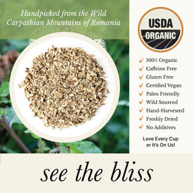 Wild Bliss Burdock Tea steeping for a soothing infusion