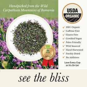 Wild Bliss Wild Breckland Thyme Tea brewed cup with aromatic steam.