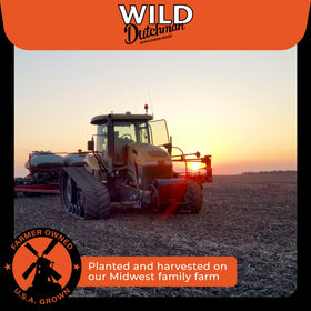 Wild Dutchman small-batch roasting emphasizes farm-fresh seeds with even toasty notes.