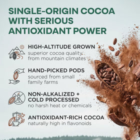 Wild Foods Organic Cocoa Powder aroma reveals rich chocolate notes