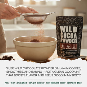Wild Foods Organic Cocoa Powder dust on a dessert surface