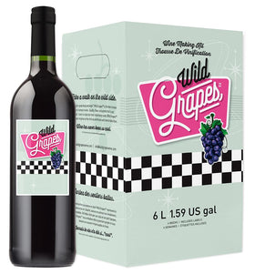 Wild Grapes Cabernet kit setup for crafting personalized wine at home