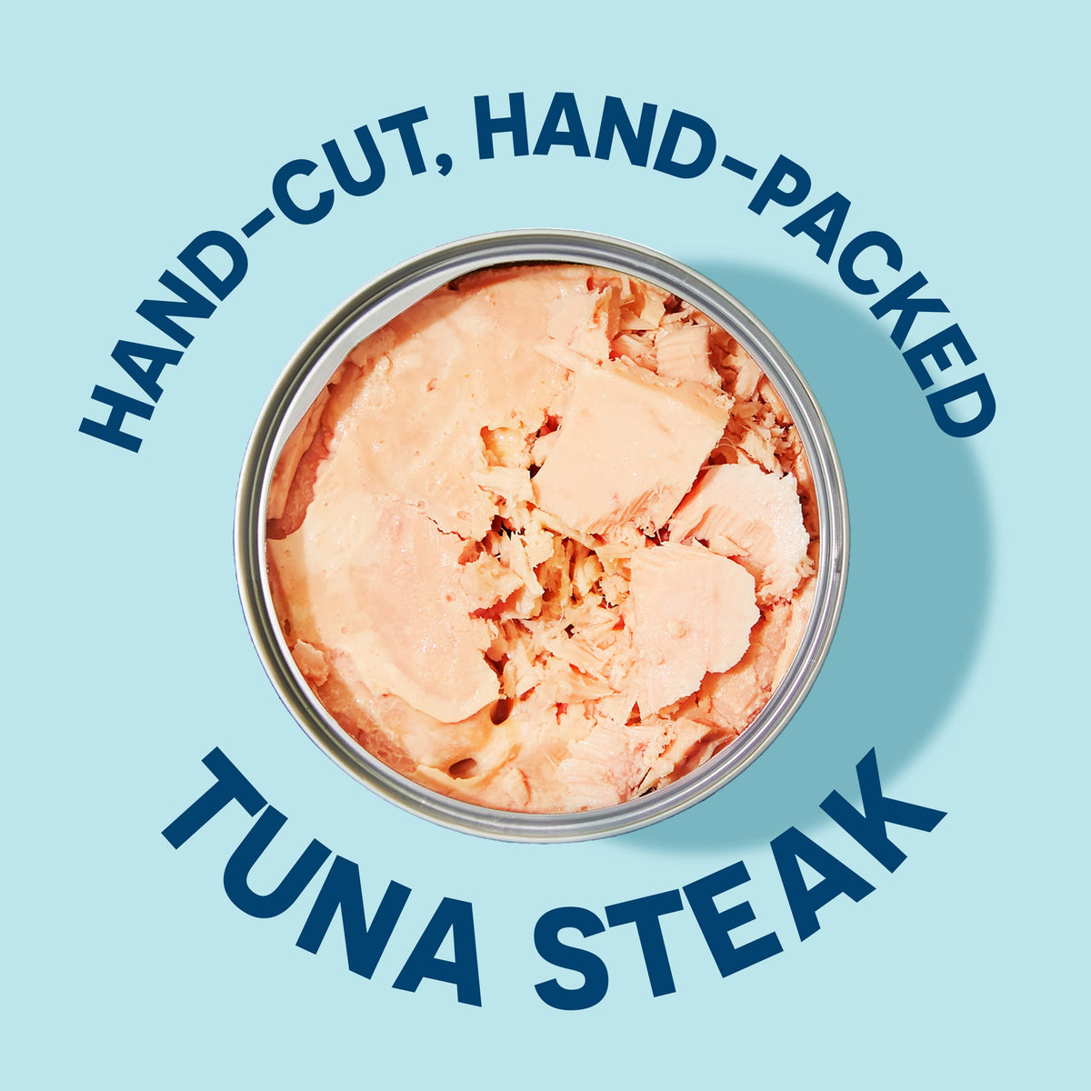 Pole-and-line caught tuna symbolizing sustainable sourcing