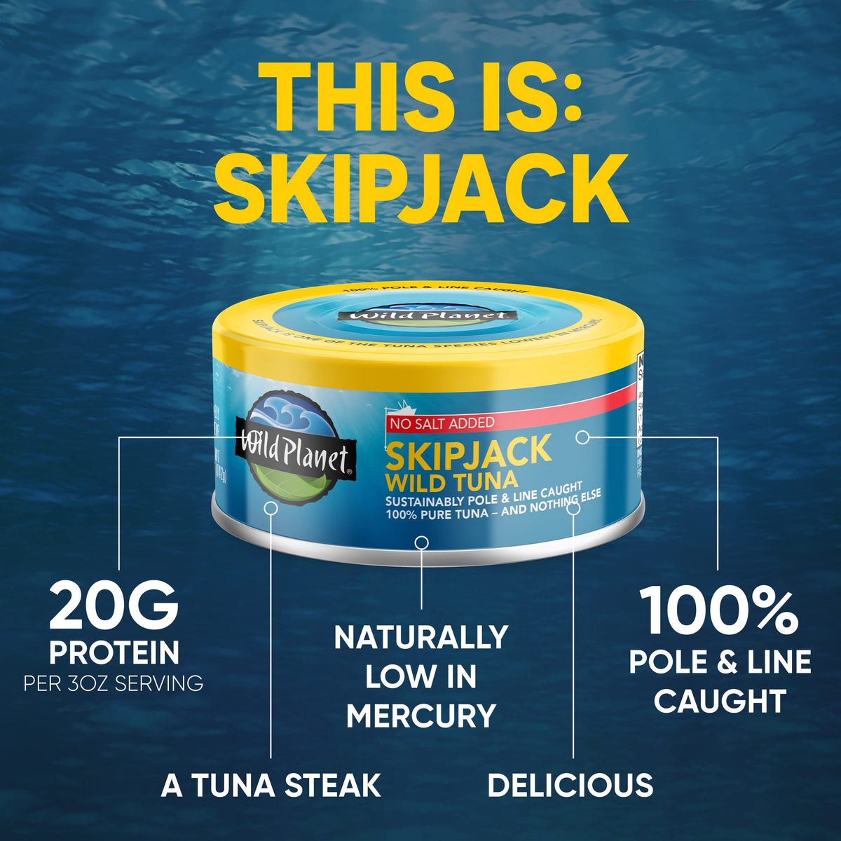 Wild Planet Skipjack tuna served on plate with lemon for versatile meals.