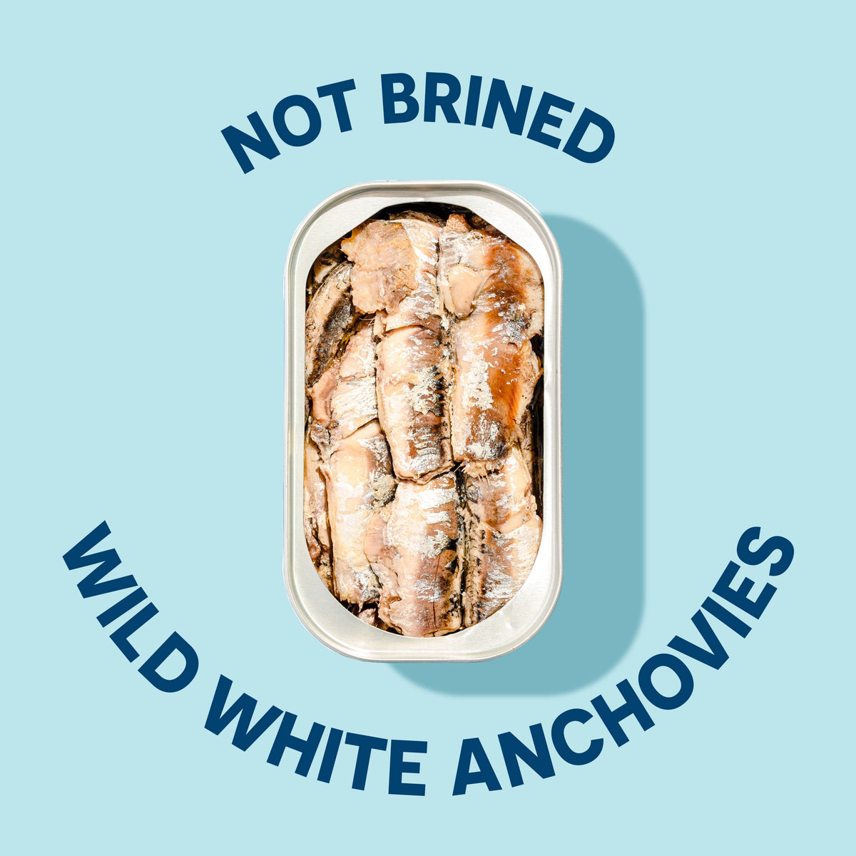 Wild Planet anchovies in water with sea salt, ready to serve from the can