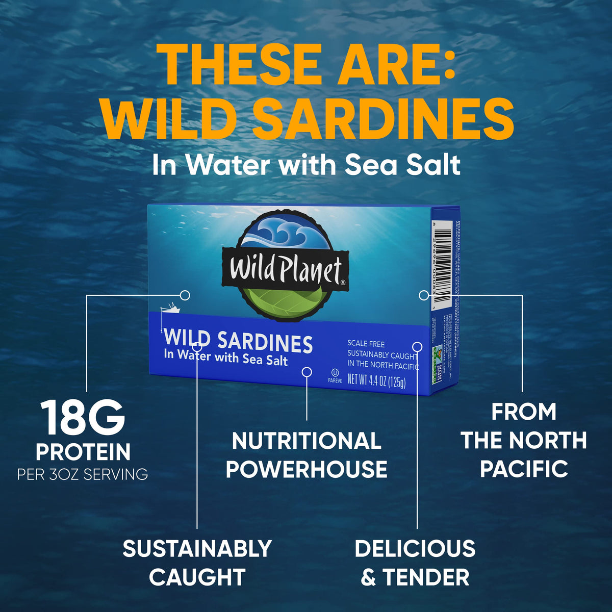 Wild Planet sardines displayed on pantry shelf for healthy meals