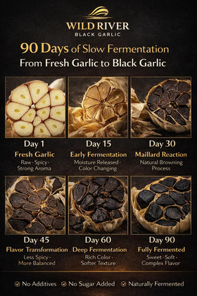 Wild River garlic grown in Gilroy, California, USA for premium domestic quality