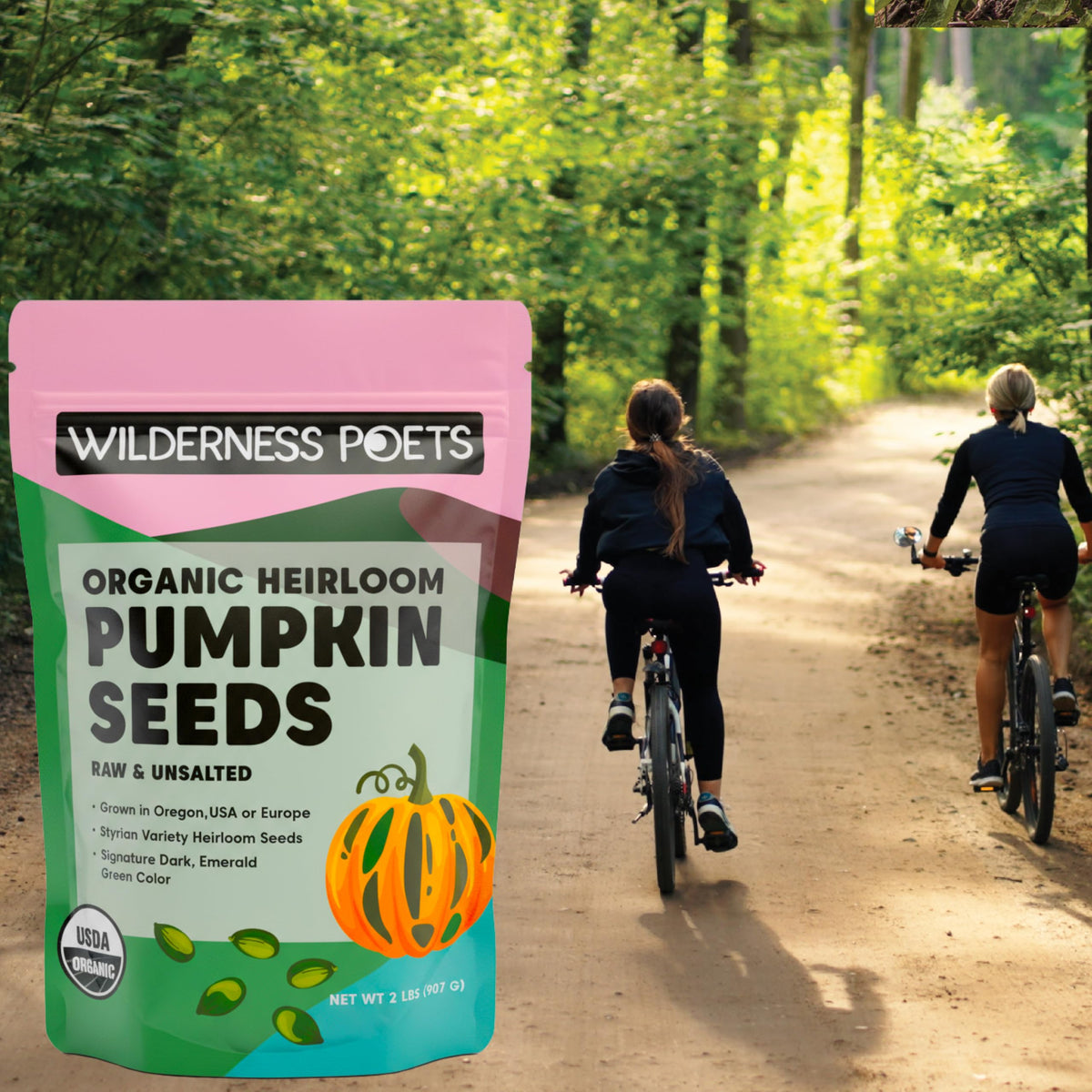 Wilderness Poets dark-green seeds closeup emphasizes premium heirloom variety.
