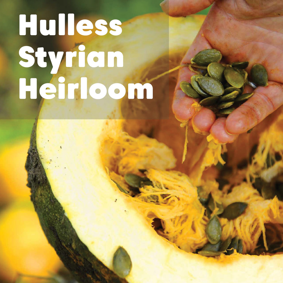 Wilderness Poets organic certification seal signals trusted harvest.