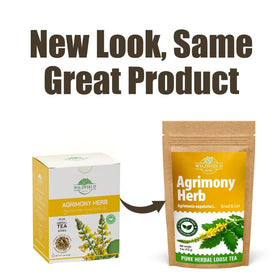 WILDFIELD HERBS Agrimony Tea cup brew with warm aroma.