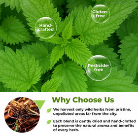 Wildfield Herbs aroma steep moment for a comforting tea ritual