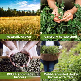 Wildfield Herbs artichoke-leaf tea packet for versatile infusion