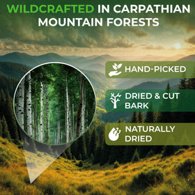 Wildfield Herbs Aspen Bark Tea loose leaves for a fragrant brew.