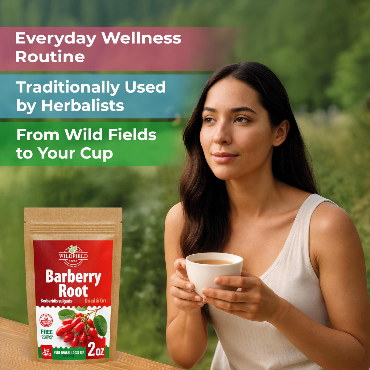 Wildfield Herbs Barberry Root Tea dried roots close-up highlighting natural texture and quality