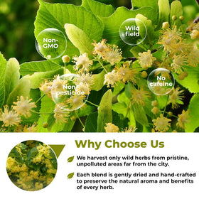 Wildfield Herbs brewed Linden tea in a cup with gentle, comforting scent