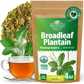 Wildfield Herbs broadleaf plantain tea packaging, ready for quick brewing.