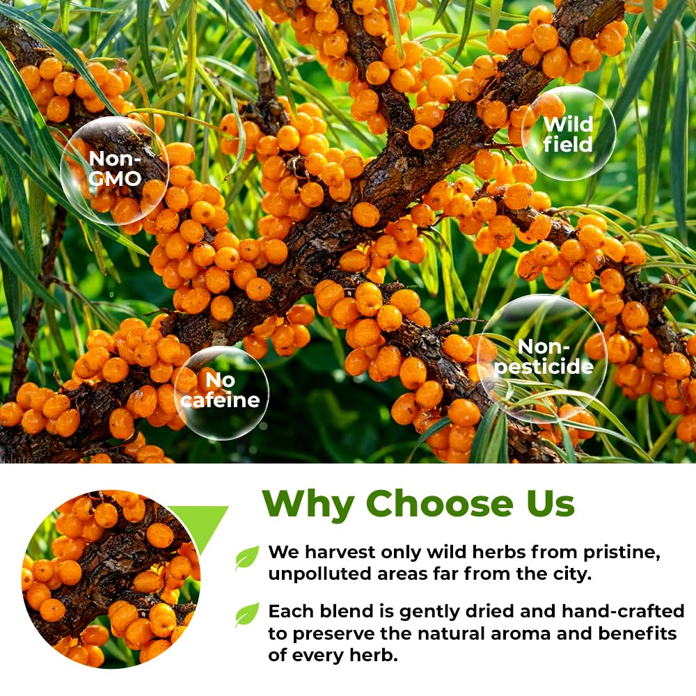 Wildfield Herbs buckthorn bark 113 g weight shown for fresh flavor