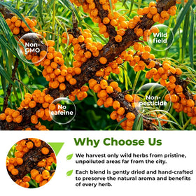 Wildfield Herbs buckthorn bark 113 g weight shown for fresh flavor
