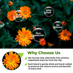 Wildfield Herbs Calendula Tea quality control ensures consistent aroma and color.