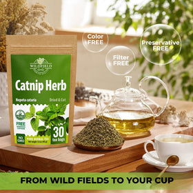 Wildfield Herbs catnip tea dried leaf close-up, pure Nepeta L. for herbal flavor.