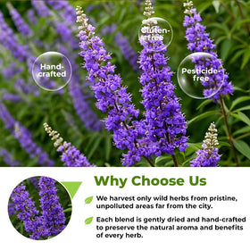 Wildfield Herbs Chaste Tree Berry Tea hermetically sealed care image preserving freshness