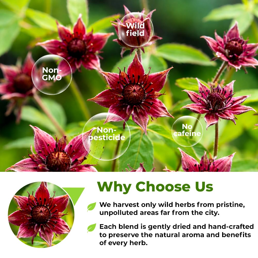 Wildfield Herbs Cinquefoil tea pack closeup emphasizes texture of dried leaves