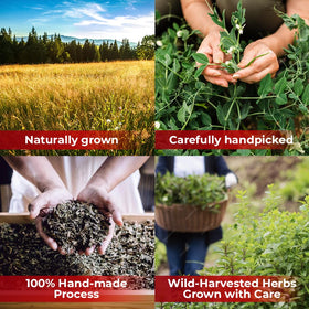 Wildfield Herbs Cinquefoil tea on shelf-display, ideal for gifting
