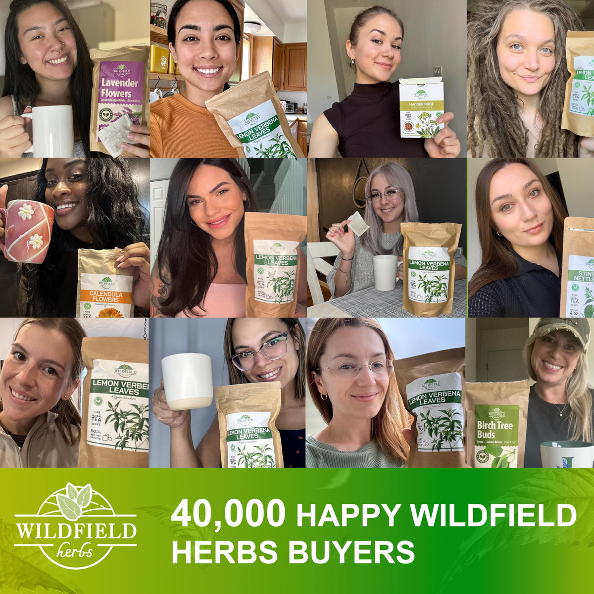 Wildfield Herbs Cistus Tea original packaging seals freshness