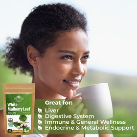 WildField Herbs Dried mulberry leaves ready for a cozy daily cup.
