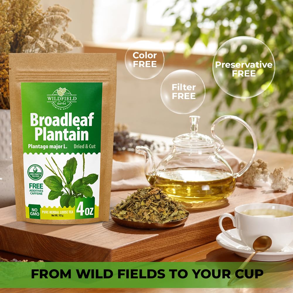 Wildfield Herbs Europe-origin plantain leaves, natural sourcing.