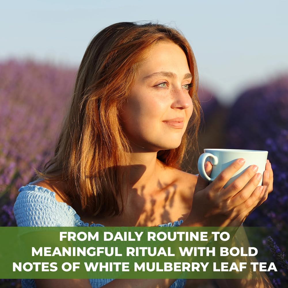 WildField Herbs European-origin mulberry leaves for a bright, comforting cup.