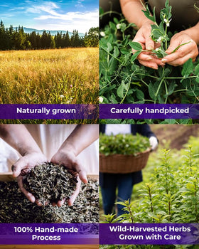 Wildfield Herbs Gentian Root 113g label indicates accurate weight and quality.